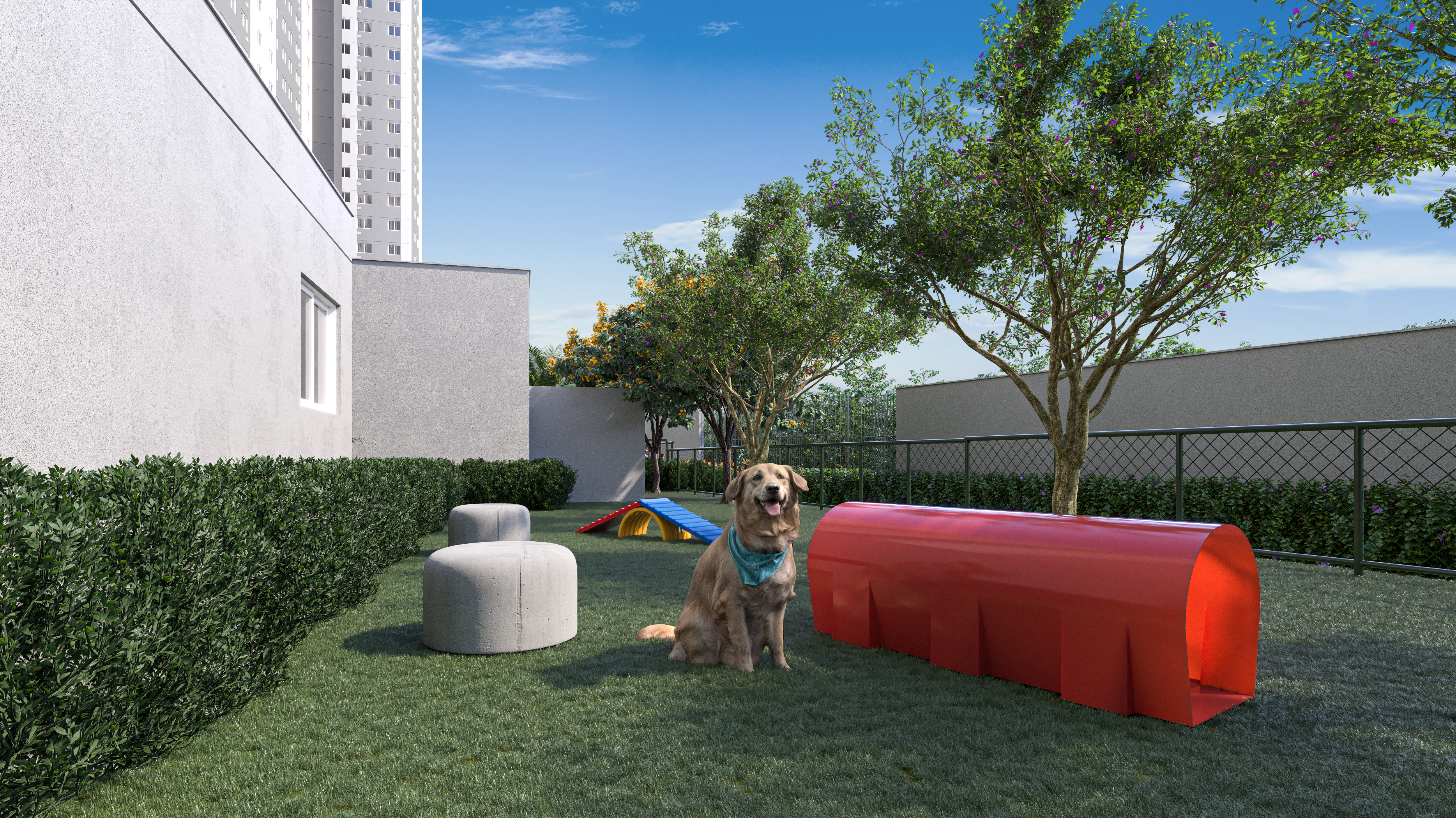 Pet place