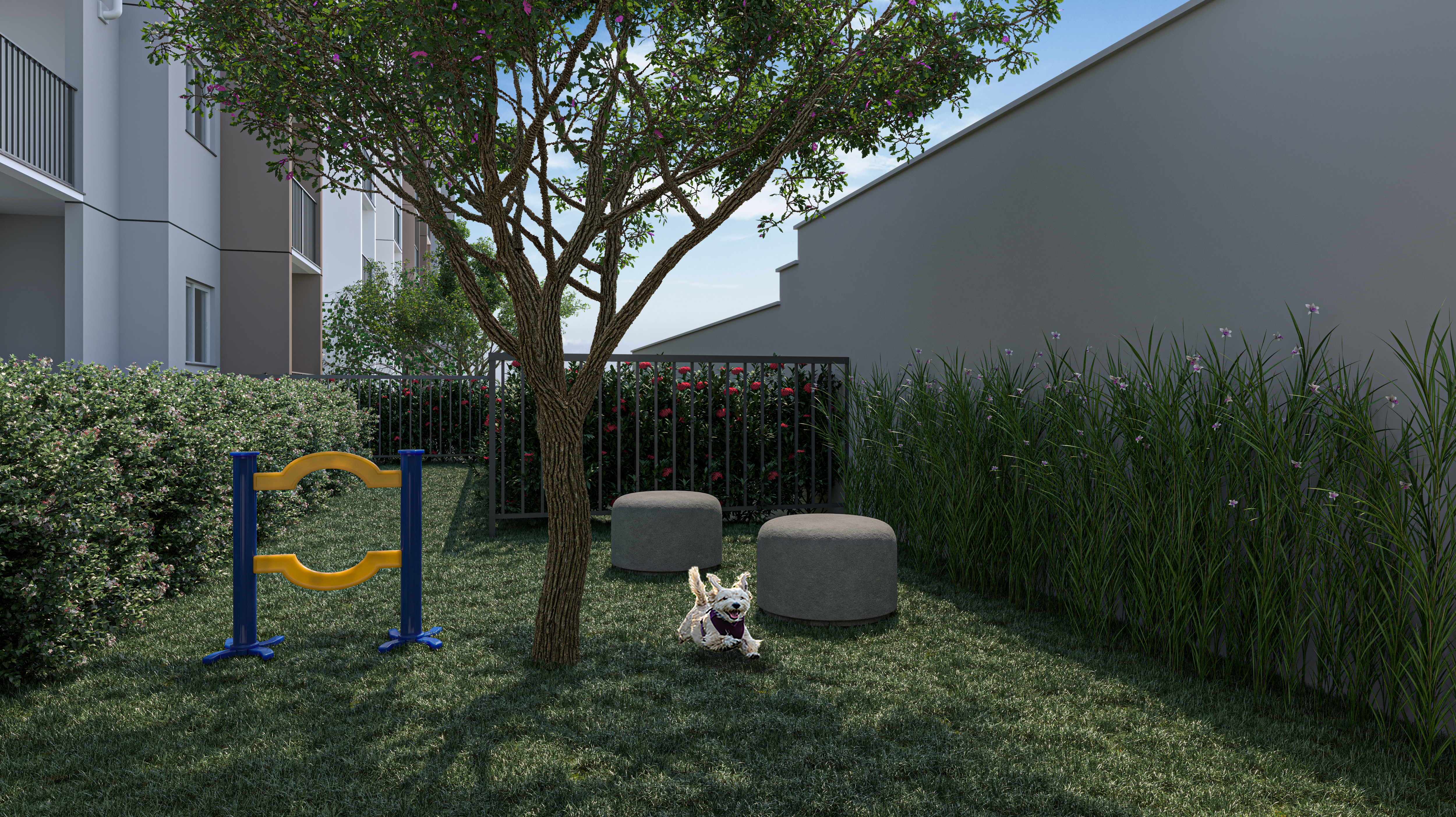 Pet place