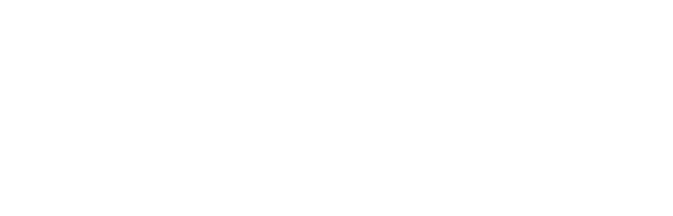 VIBRA BELENZINHO